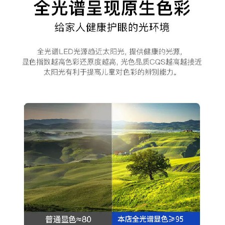 北歐現(xiàn)代隱形風(fēng)扇燈 42寸智能變頻客廳吸頂燈靜音臥室客廳吊扇燈