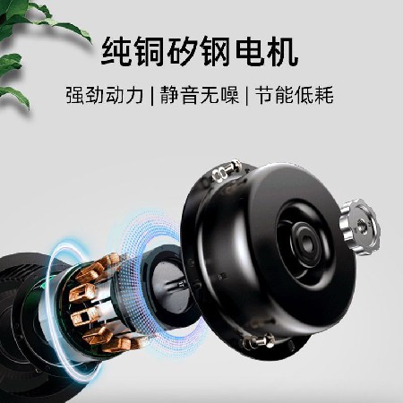 加工定制實(shí)木電扇燈 家用客廳餐廳電風(fēng)扇吊燈臥室大風(fēng)力吊頂風(fēng)燈