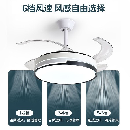 隱形簡(jiǎn)約風(fēng)扇燈 北歐客廳餐廳家用電扇燈跨境智能遙控吸頂?shù)跎葻? title=