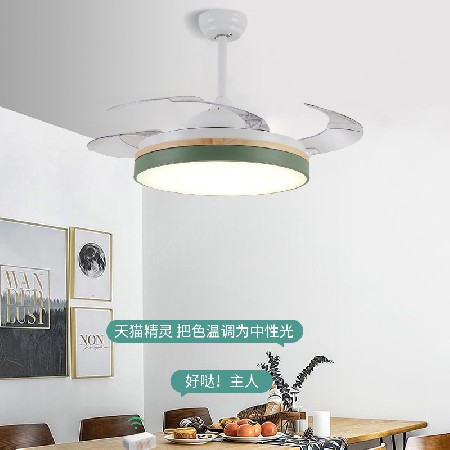 現(xiàn)代簡約隱形風(fēng)扇燈 木紋靜音餐廳語音智能客廳燈臥室吊扇燈廠家