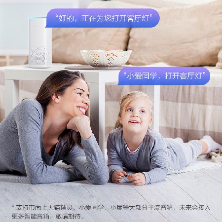 定制新中式燈風(fēng)扇燈實(shí)木隱形餐廳客廳吊燈吊扇一體帶燈古典中國風(fēng)