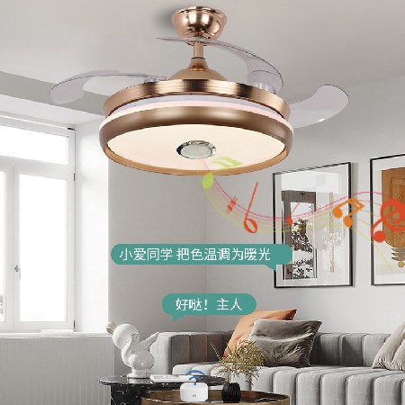 新款七彩藍(lán)牙風(fēng)音響電扇燈客廳餐廳燈吊扇燈智能隱形帶風(fēng)扇的燈具