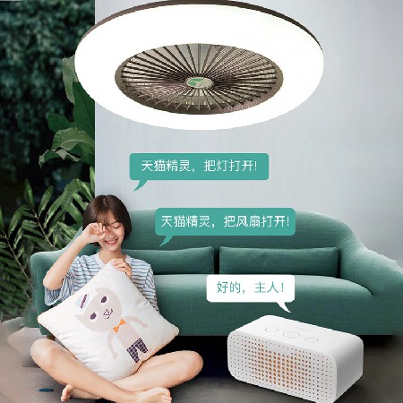 大風(fēng)力led吸頂風(fēng)扇燈 智能變頻遙控客廳臥室燈隱形吸頂帶風(fēng)扇的燈
