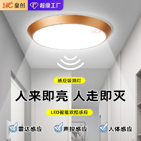led感應(yīng)燈樓梯燈吸頂燈過道樓道走廊紅外人體自動感應(yīng)雷達聲控