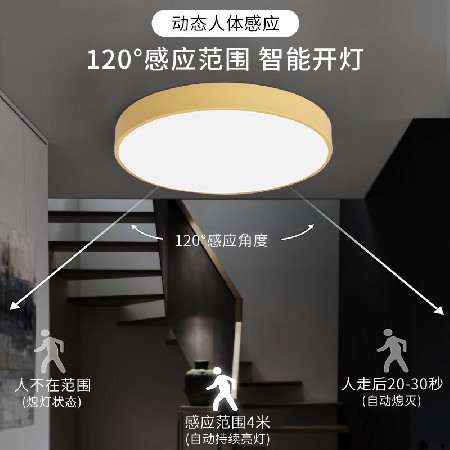 爆款led圓形過道吸頂燈 雷達(dá)人體感應(yīng)超薄陽(yáng)臺(tái)燈馬卡龍玄關(guān)走廊燈